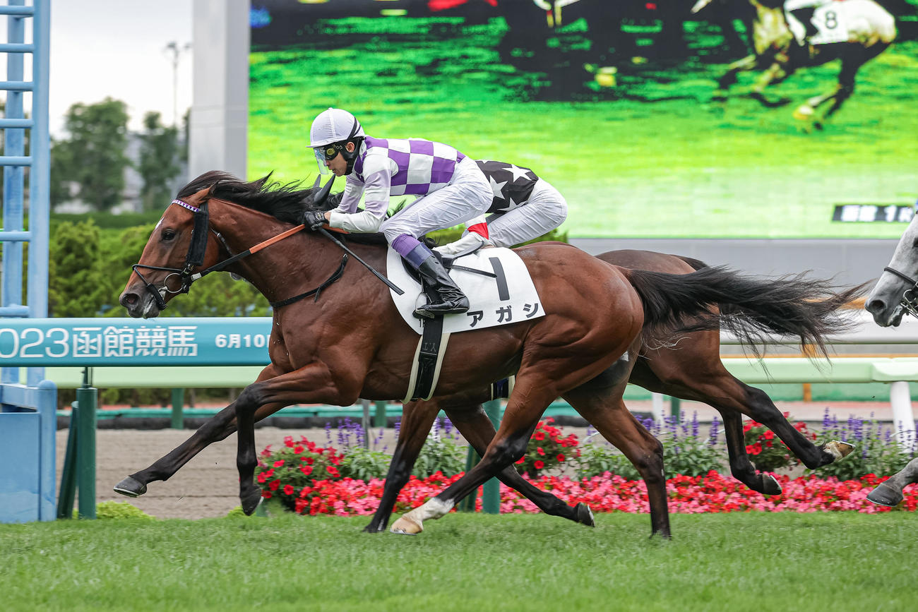函館1R、2歳未勝利を勝ち上がったアガシと武豊騎手（撮影・村野早祐）