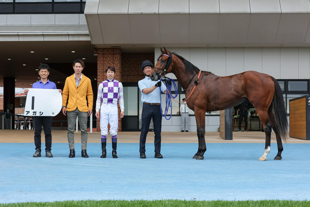 函館1R、2歳未勝利を勝ち上がったアガシ（撮影・村野早祐）