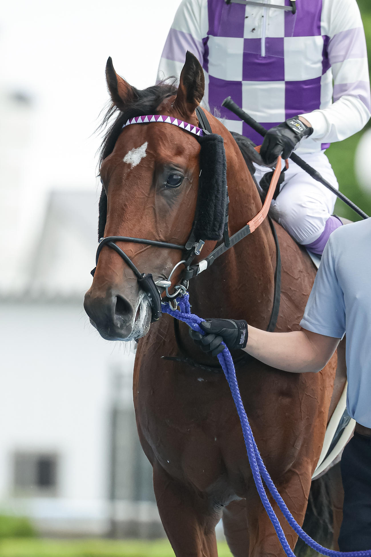 函館1R、2歳未勝利を勝ち上がったアガシ（撮影・村野早祐）