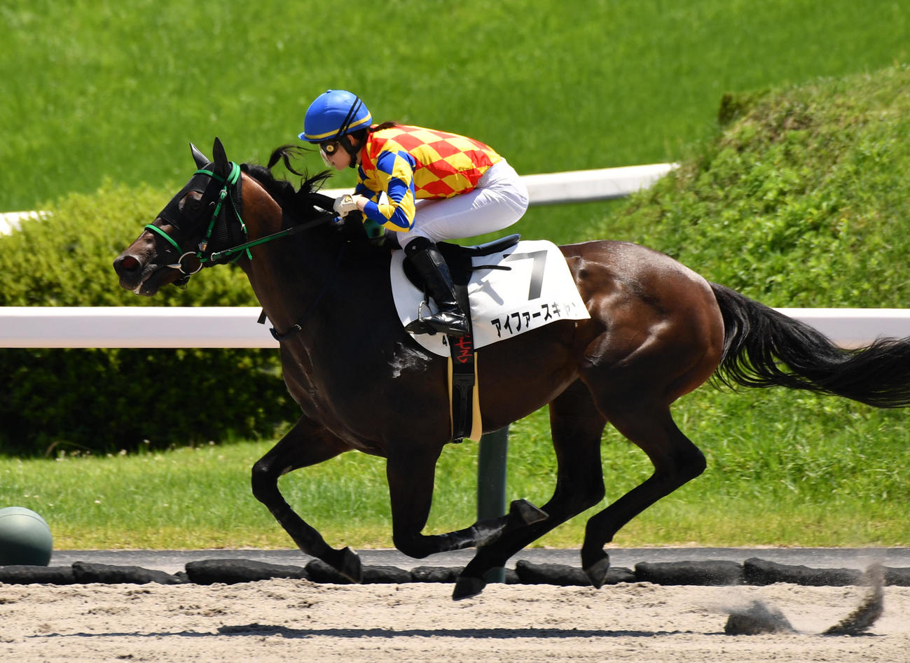 福島4Rで1着のアイファースキャンと藤田菜七子騎手（撮影・柴田隆二）