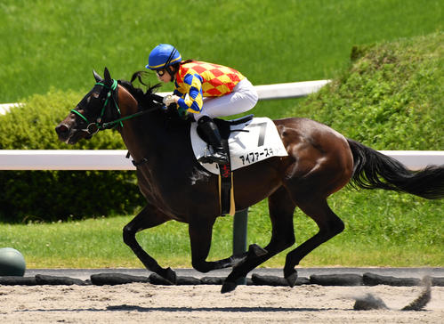 藤田菜七子騎手アイファースキャンで今年JRA・6勝目「馬が本当に偉い