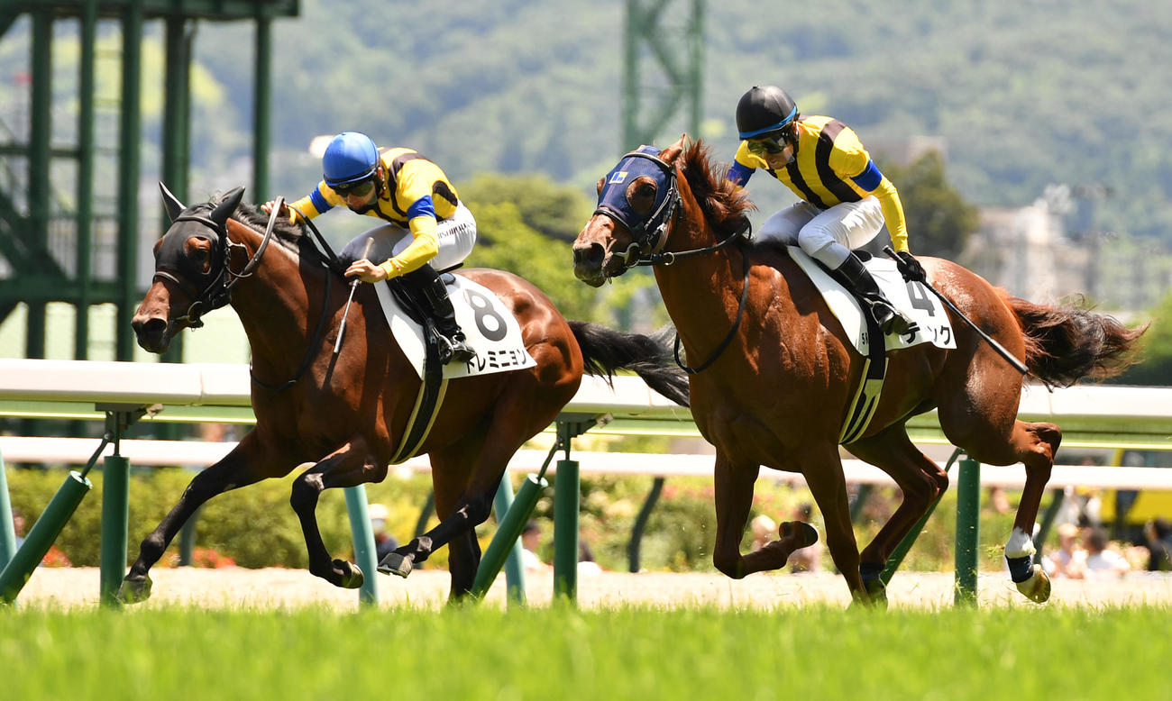 福島5R、新馬戦を制したトレミニョン（左）、2着ティンク（撮影・柴田隆二）