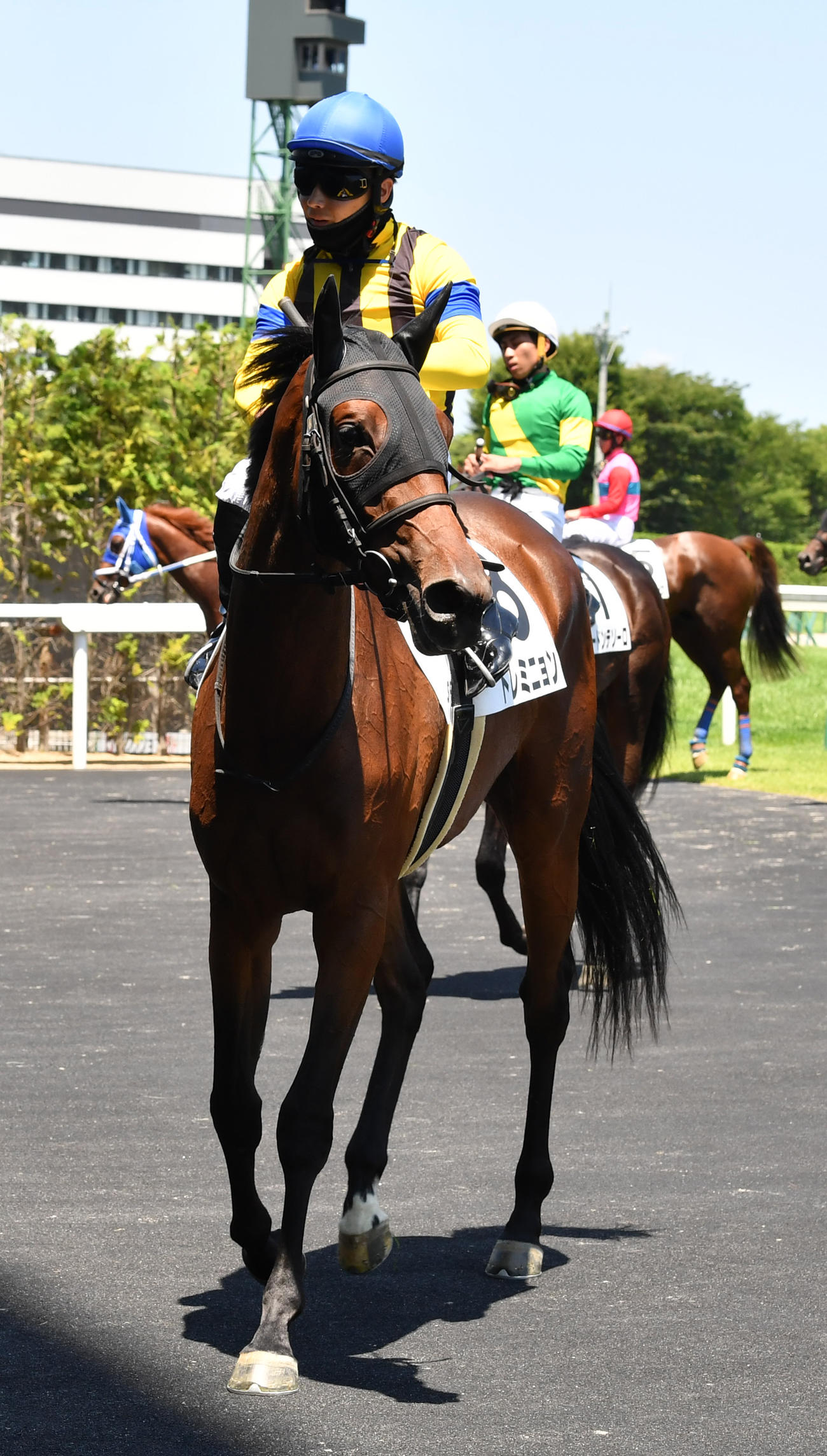 福島5R、新馬戦を制したトレミニョンと西村淳騎手（撮影・柴田隆二）