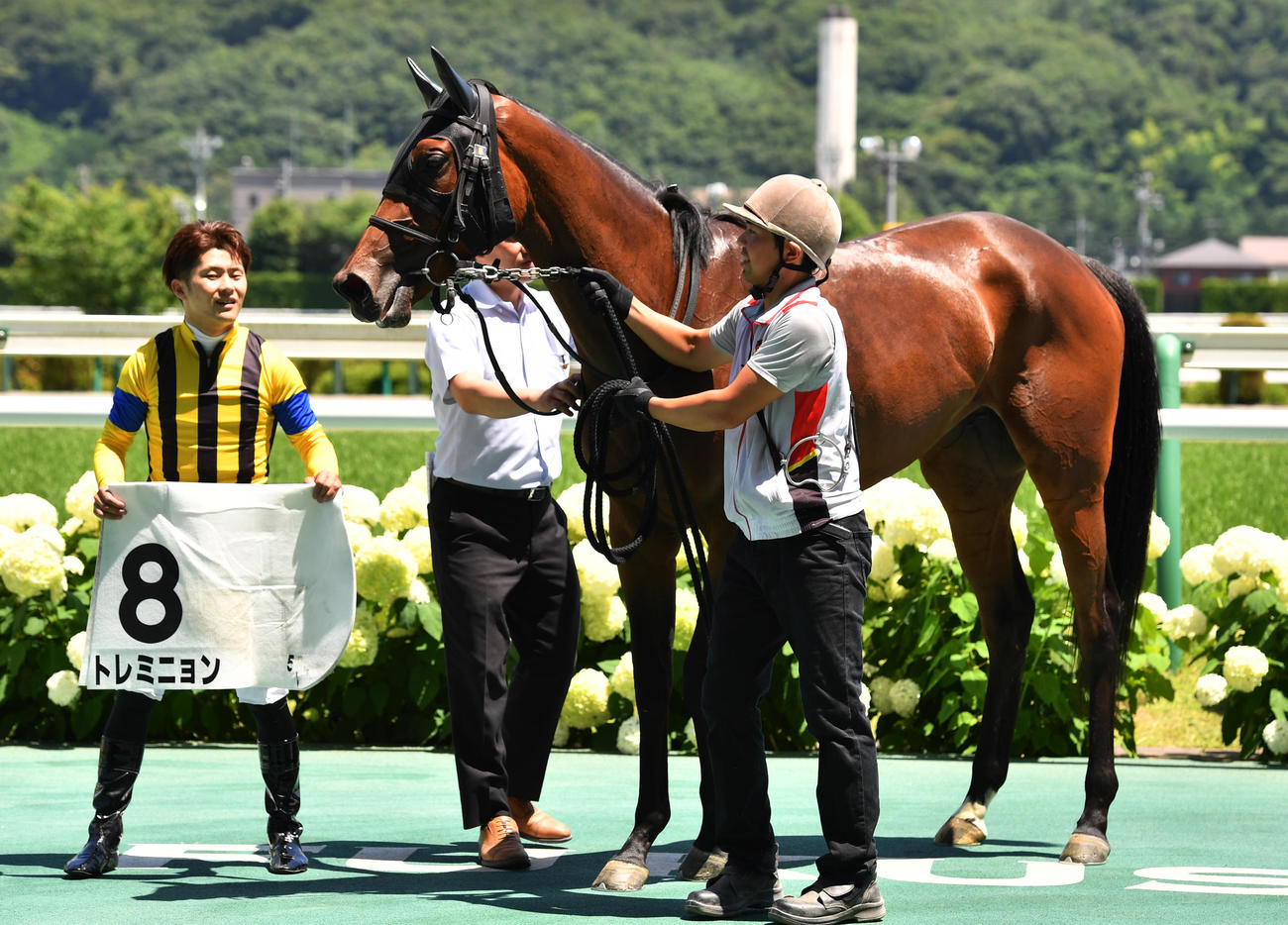 福島5R、新馬戦を制したトレミニョンと西村淳騎手（撮影・柴田隆二）