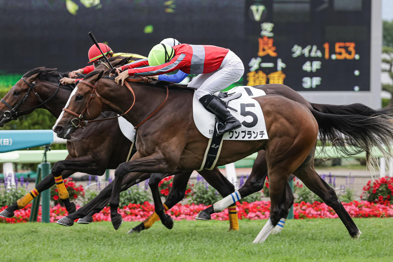 函館5R、デビュー戦を制したワンブランチ（撮影・村野早祐）