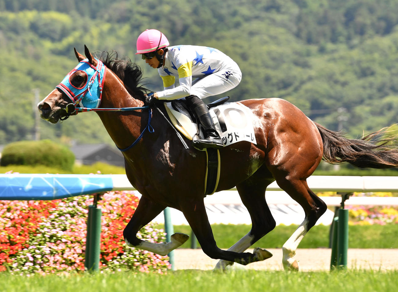福島6R、新馬戦を制したビッグドリームと幸騎手（撮影・柴田隆二）