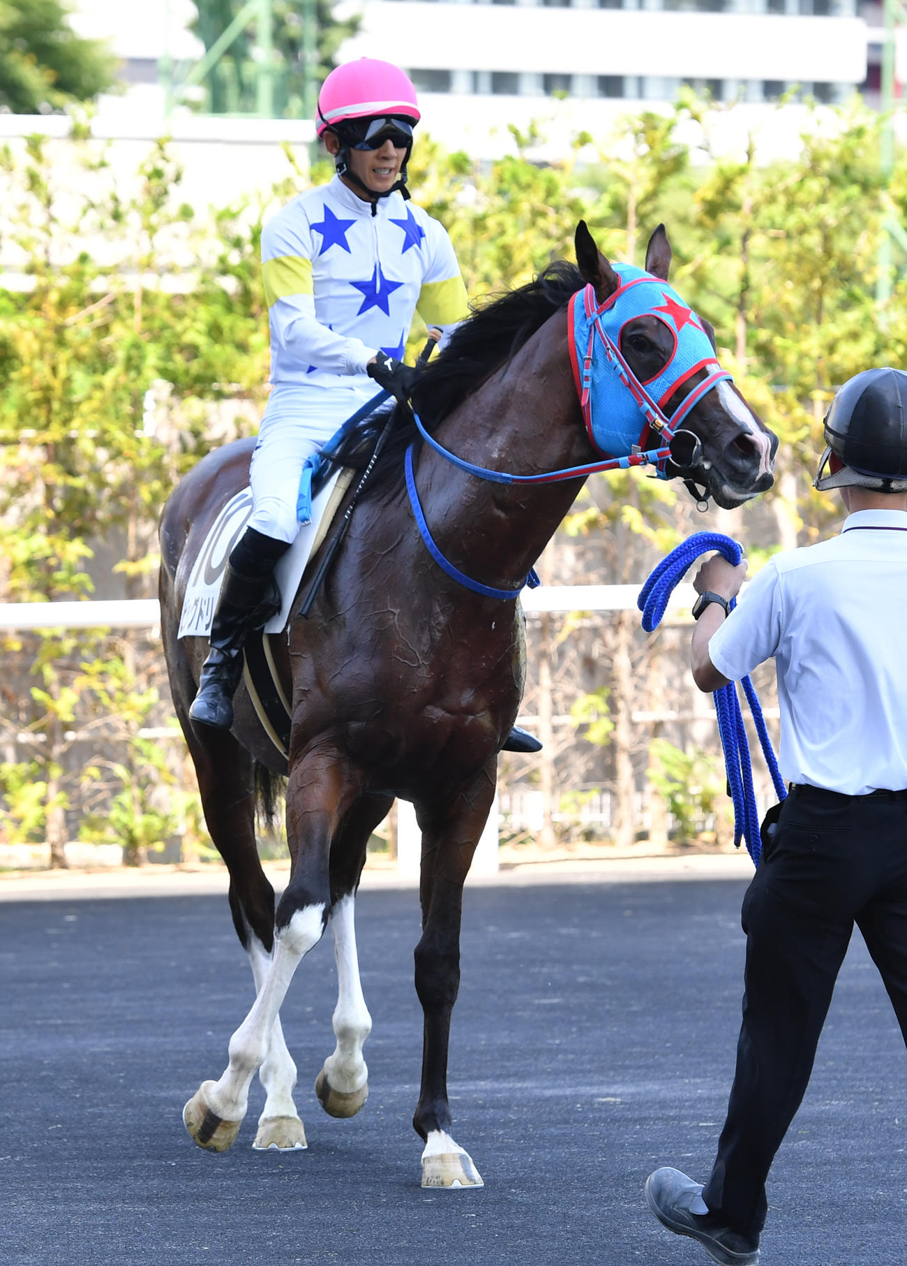 福島6R、新馬戦を制したビッグドリームと幸騎手（撮影・柴田隆二）