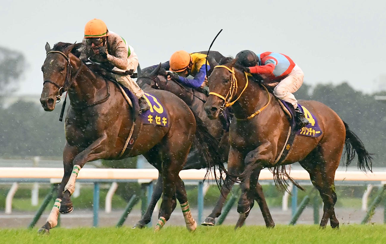 17年10月、菊花賞2着に敗れたクリンチャー（右）。左は勝ったキセキ