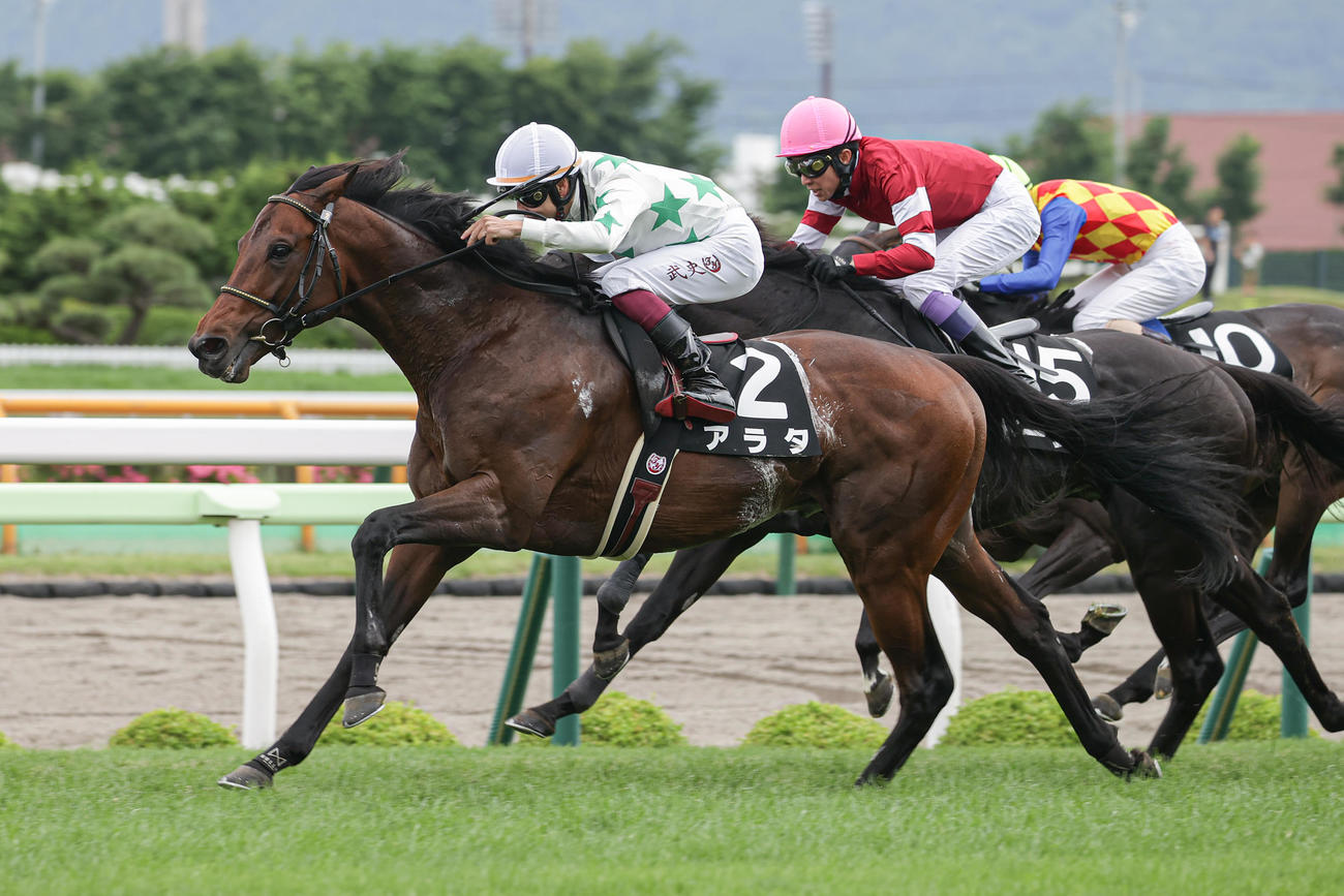 巴賞を制したアラタと横山武騎手（撮影・村野早祐）