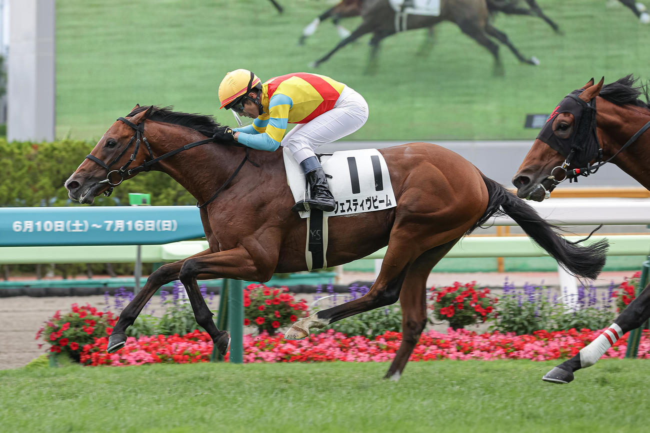 函館6R、フェスティヴビームで勝利しJRA通算600勝を達成した柴山騎手（撮影・村野早祐）