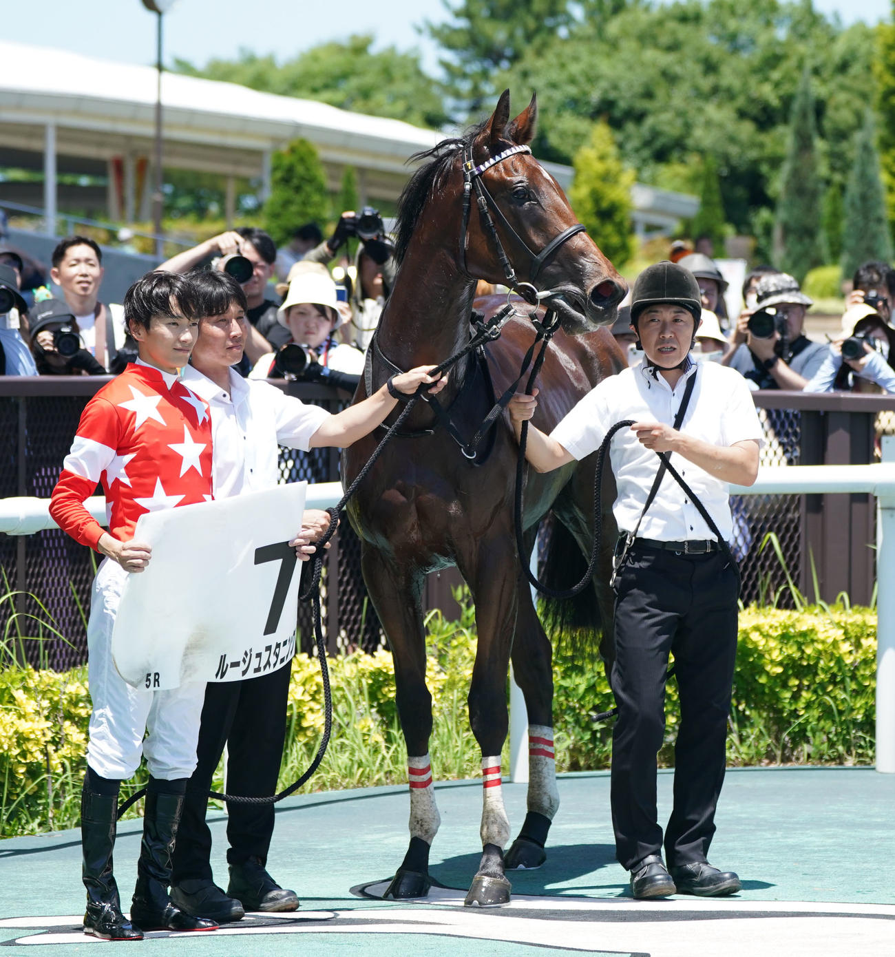 中京5Rメイクデビュー中京を制したルージュスタニングの口取り式（撮影・森本幸一）