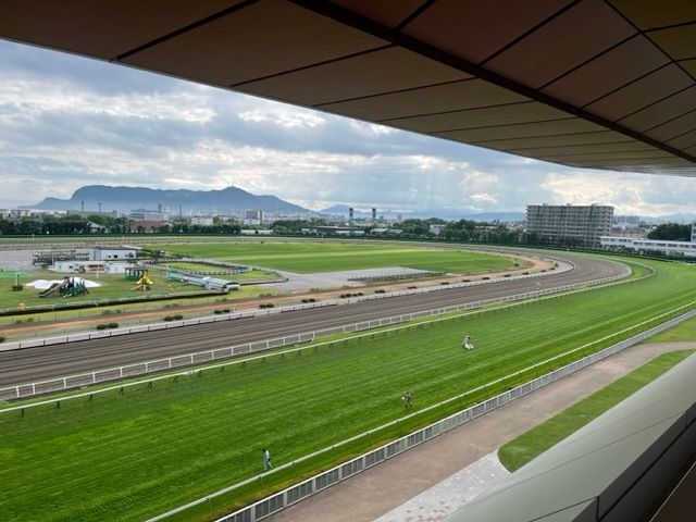 函館競馬場スタンドより