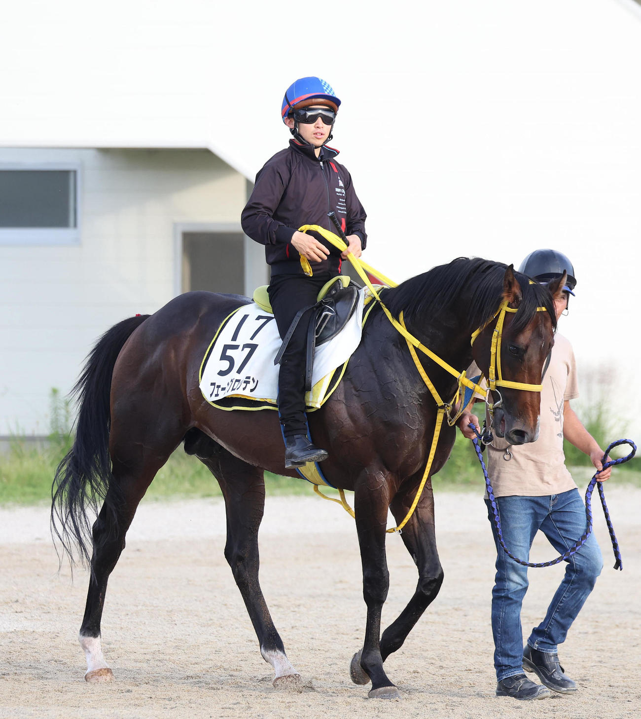 6月28日、松若騎手を背に調教から引き揚げるフェーングロッテン