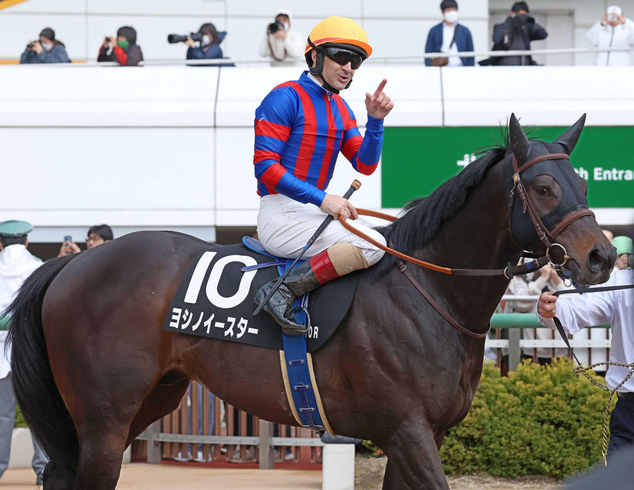 船橋Sを制したヨシノイースター（2023年4月8日撮影）