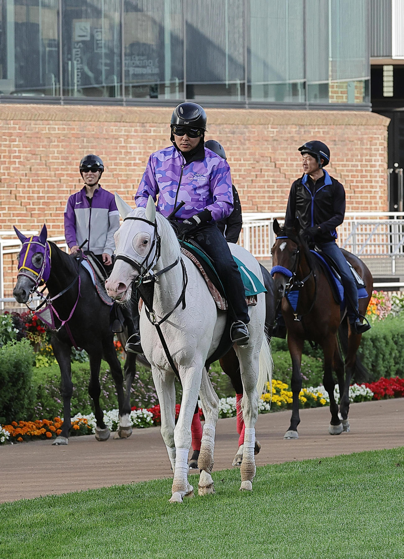 函館で新馬勝ちを目指すカルパ