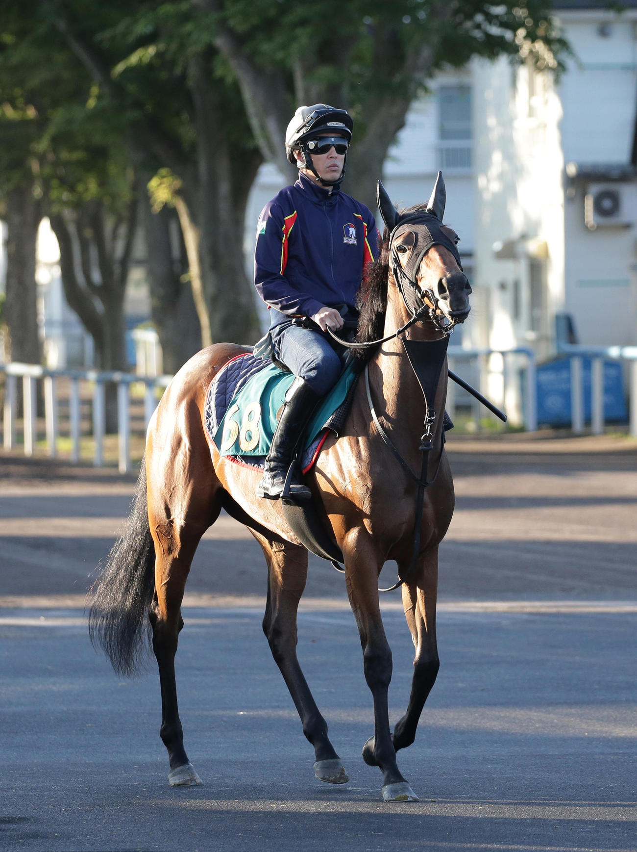 函館競馬場で調整を積む今週デビュー予定のレガレイラ