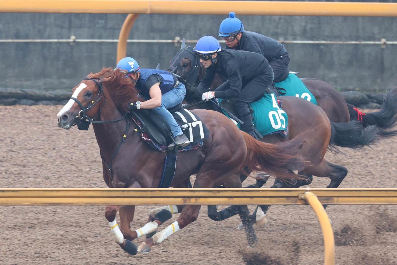 楽な手応えでアッサリと先着するユティタム（左）