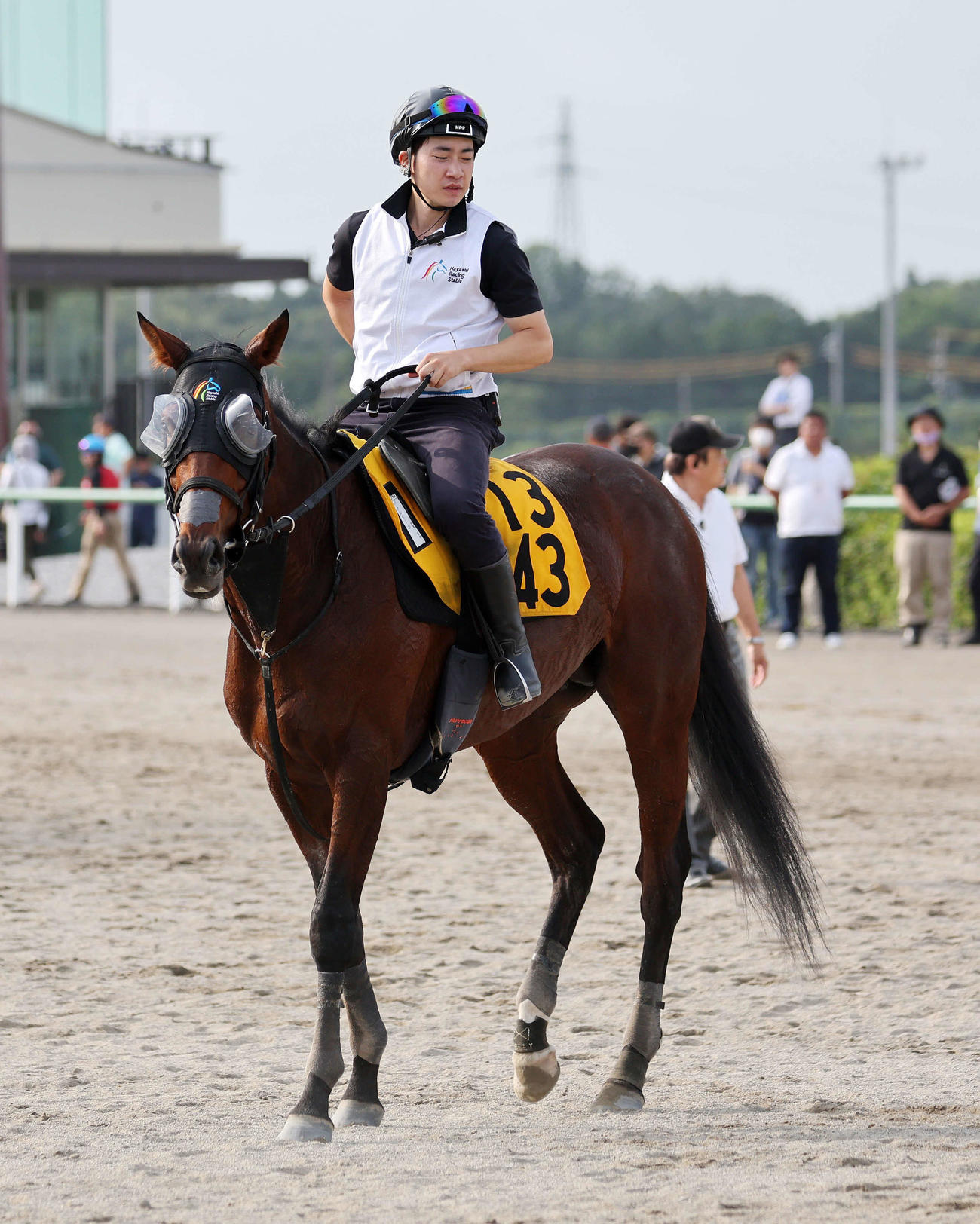 乗り運動するバトルボーン（撮影・鈴木正人）