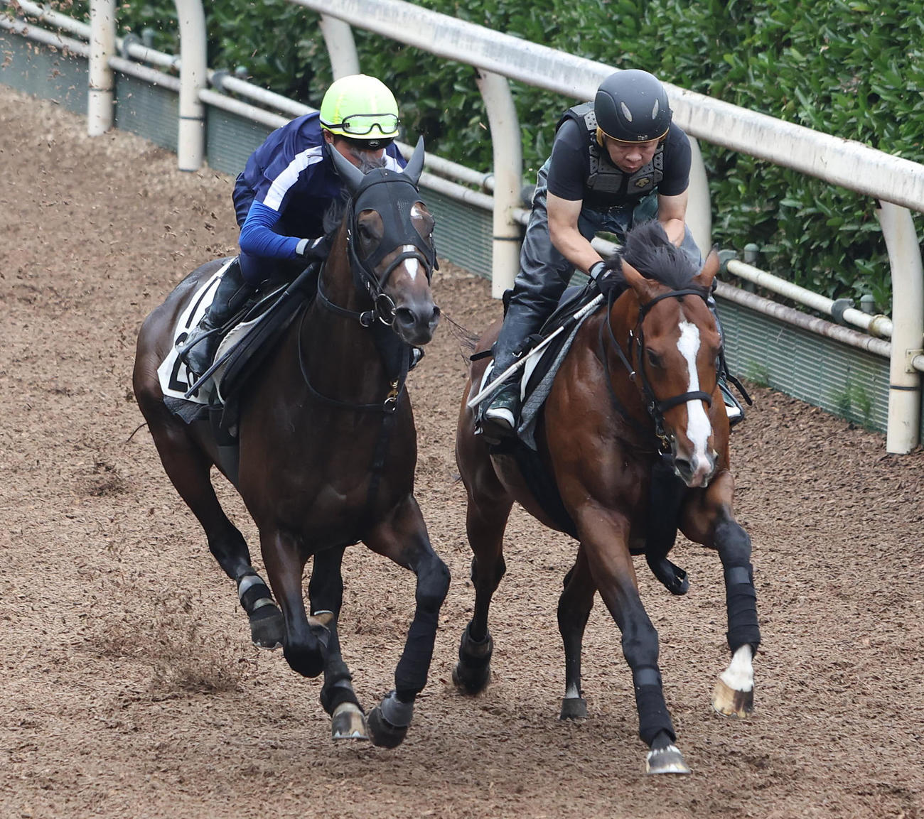 田口騎手を背に坂路をリレーションシップ（右）と併せ馬で追い切るテーオーソラネ（撮影・白石智彦）