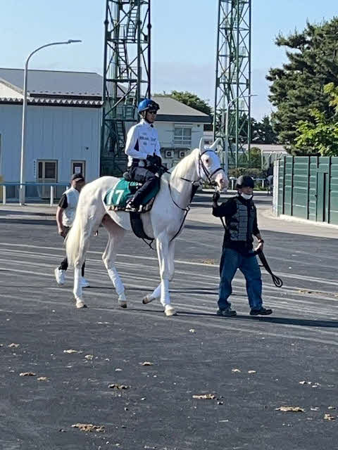 白毛馬カルパの馬場入り。鞍上は武豊騎手