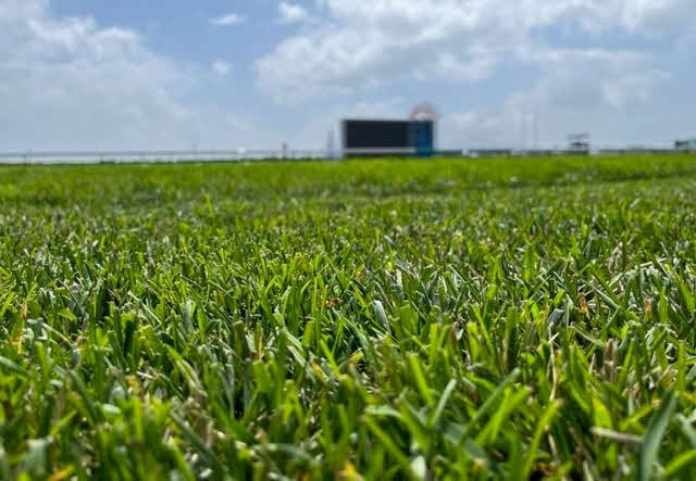 函館競馬場芝コースのゴール前