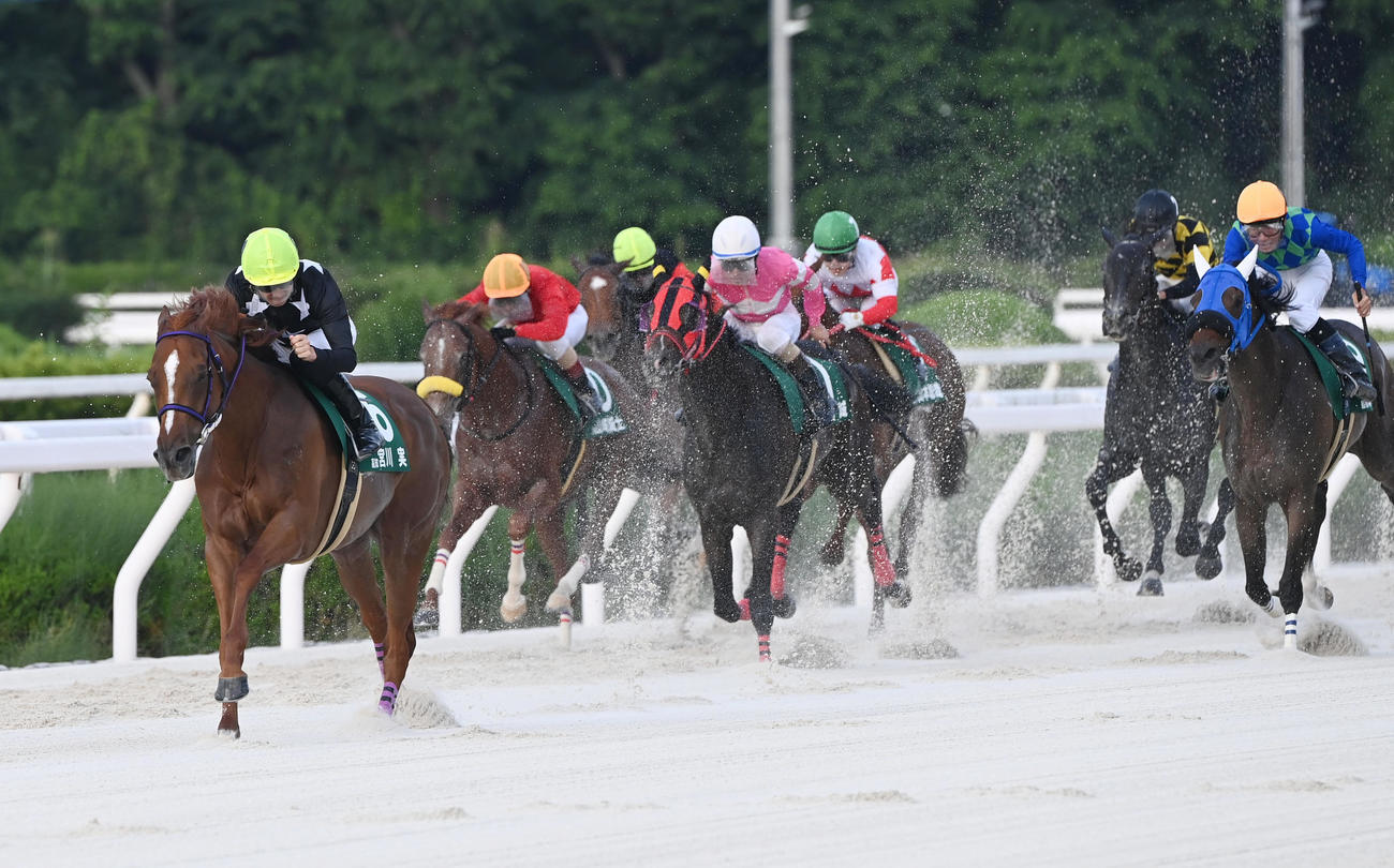 JCSファイナルS第2戦を逃げ切り勝利したアヴニールレーヴと宮川実騎手（撮影・和賀正仁）