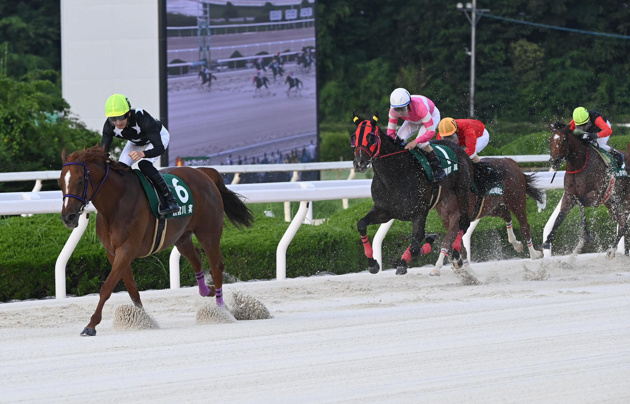 JCSファイナルS第2戦を逃げ切り勝利したアヴニールレーヴと宮川実騎手（撮影・和賀正仁）