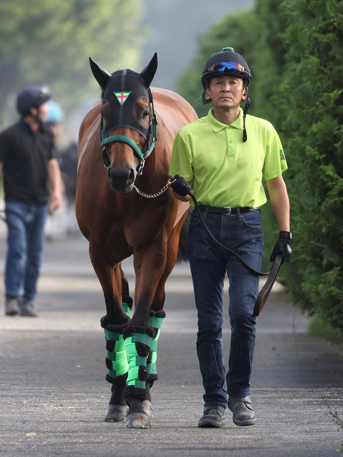厩舎周りで運動するブルベアイリーデ（撮影・白石智彦）