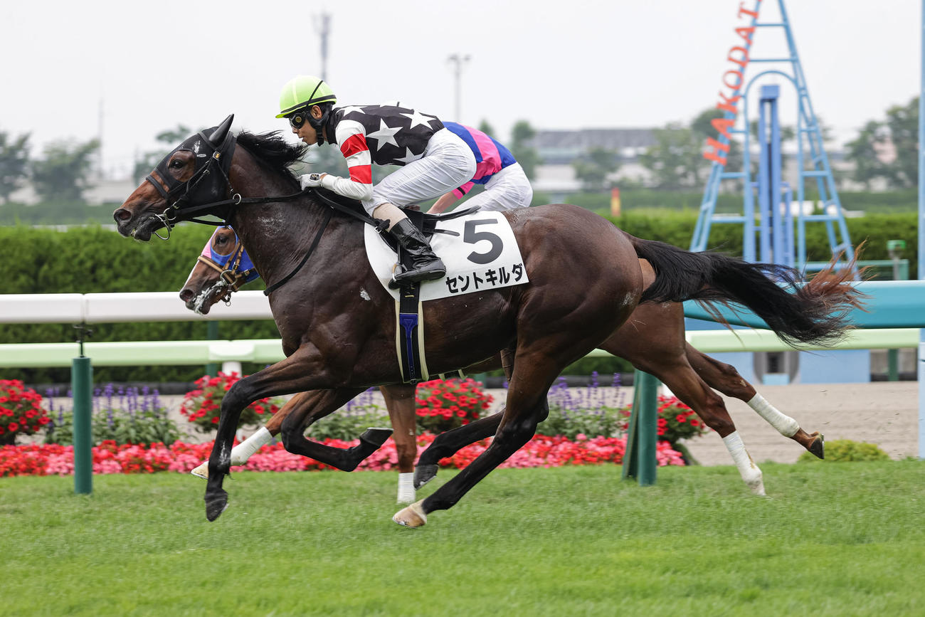函館1R、2歳未勝利を勝ち上がったセントキルダと北村友騎手