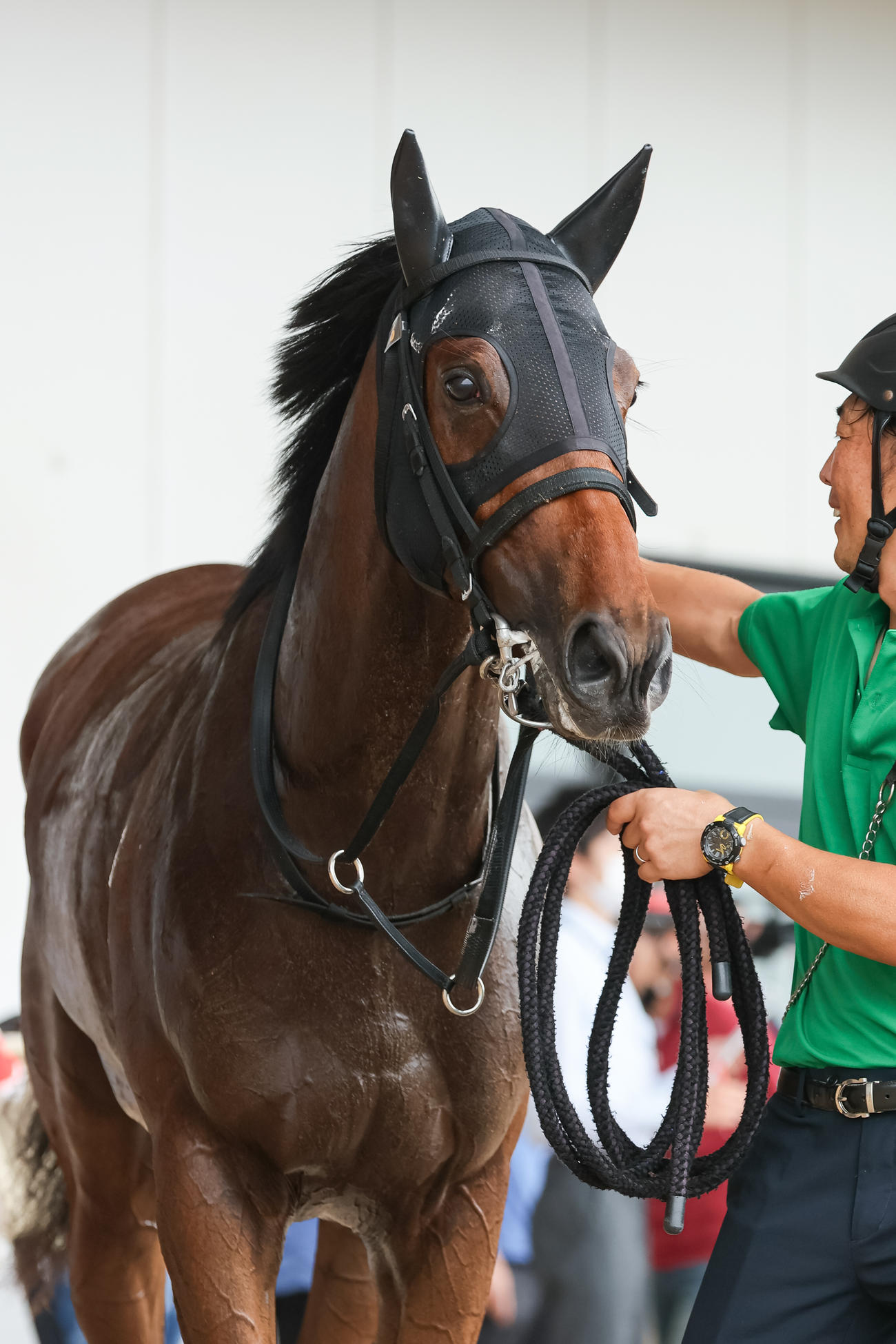 函館1R、2歳未勝利を勝ち上がったセントキルダ（撮影・村野早祐）