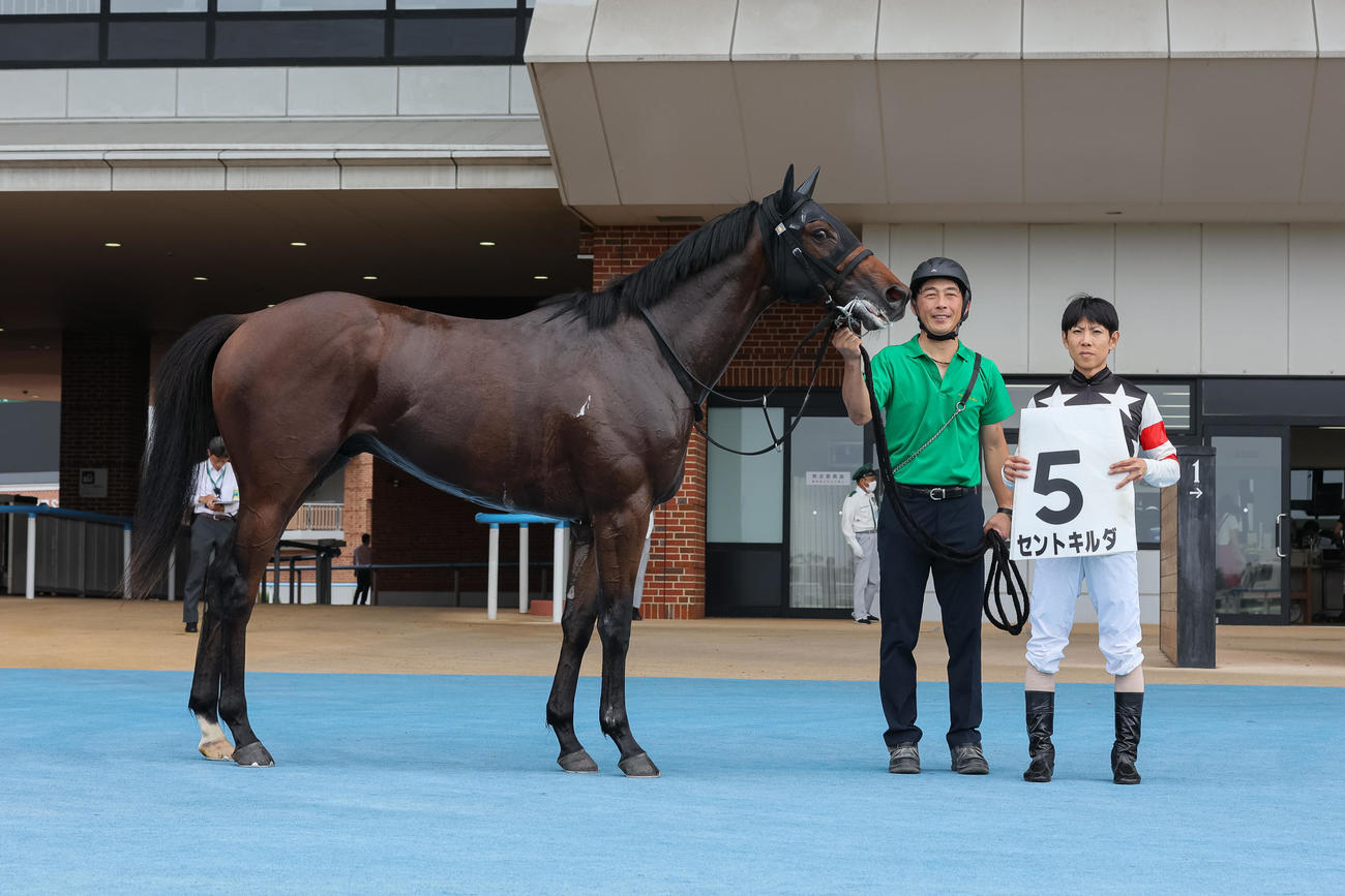 函館1R、2歳未勝利を勝ち上がったセントキルダ（撮影・村野早祐）