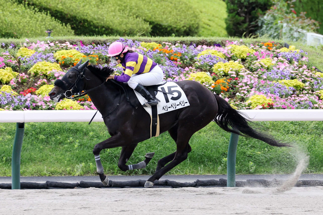 3歳未勝利を制したベリーベリーベリーと小林美駒騎手（撮影・鈴木正人）