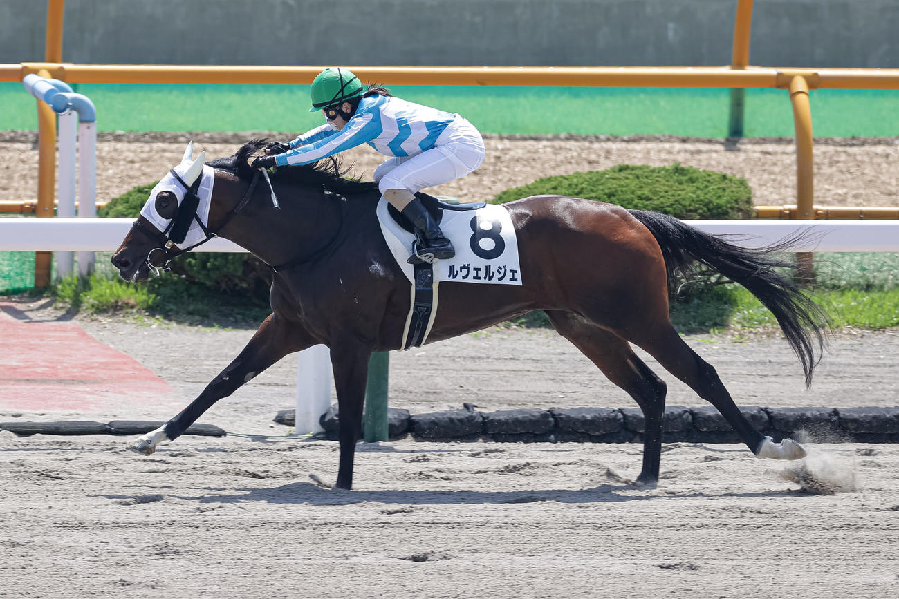 函館7R、1勝クラスを勝ち上がったルヴェルジェと古川奈穂騎手（撮影・村野早祐）