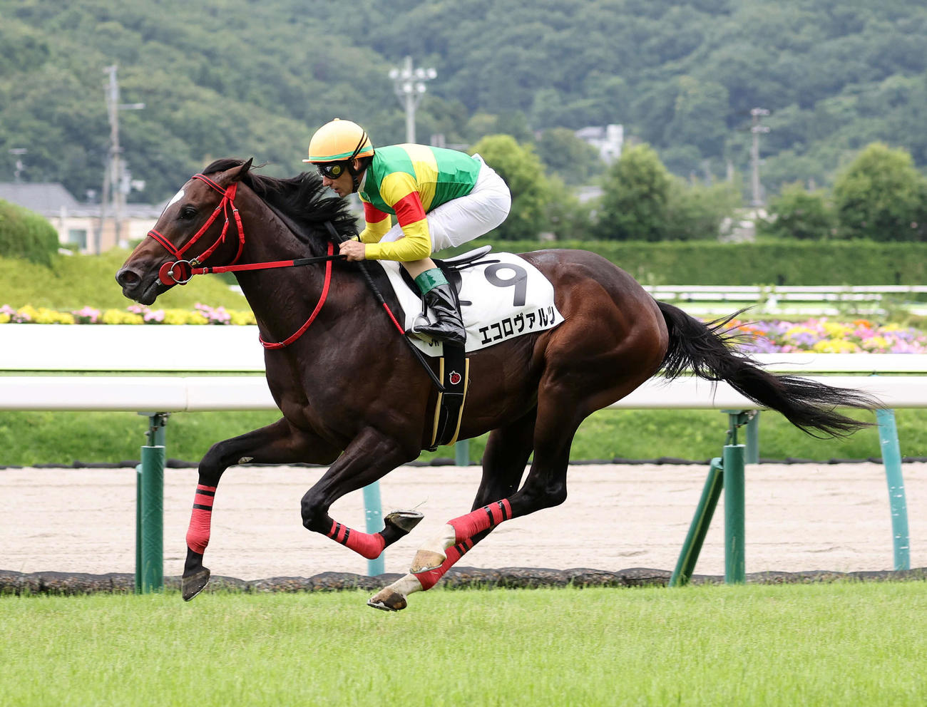 デビュー戦を制したエコロヴァルツとM・デムーロ騎手（撮影・鈴木正人）