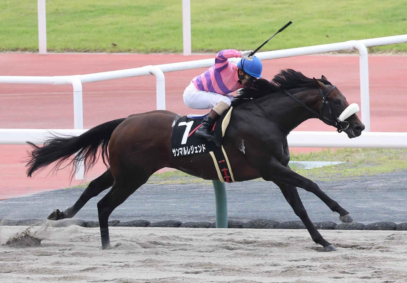 直線抜け出してマレーシアCを制したサンマルレジェンド（撮影・白石智彦）