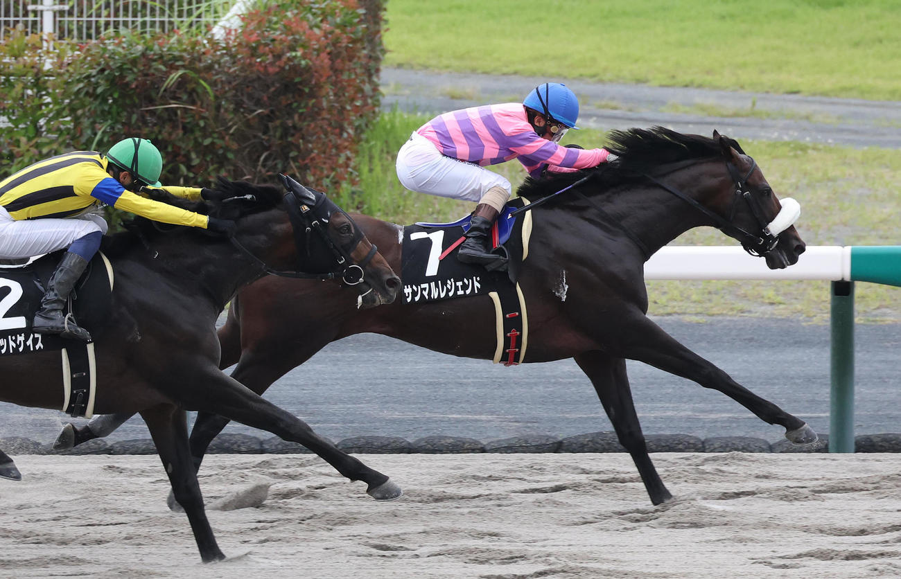 中京11R、直線抜け出してマレーシアCを制したサンマルレジェンド（撮影・白石智彦）