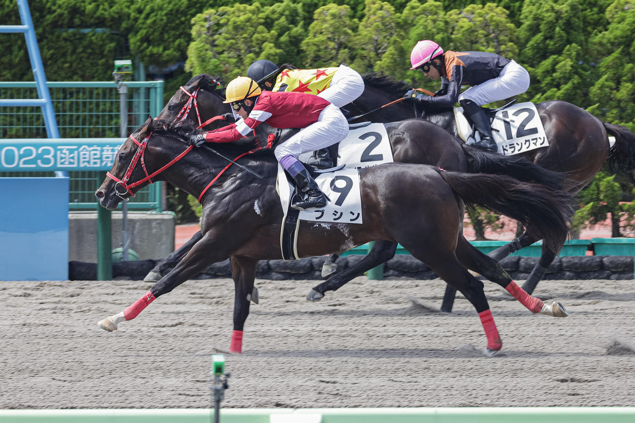 函館1R、2歳未勝利を制したブシンと武豊騎手（撮影・村野早祐）