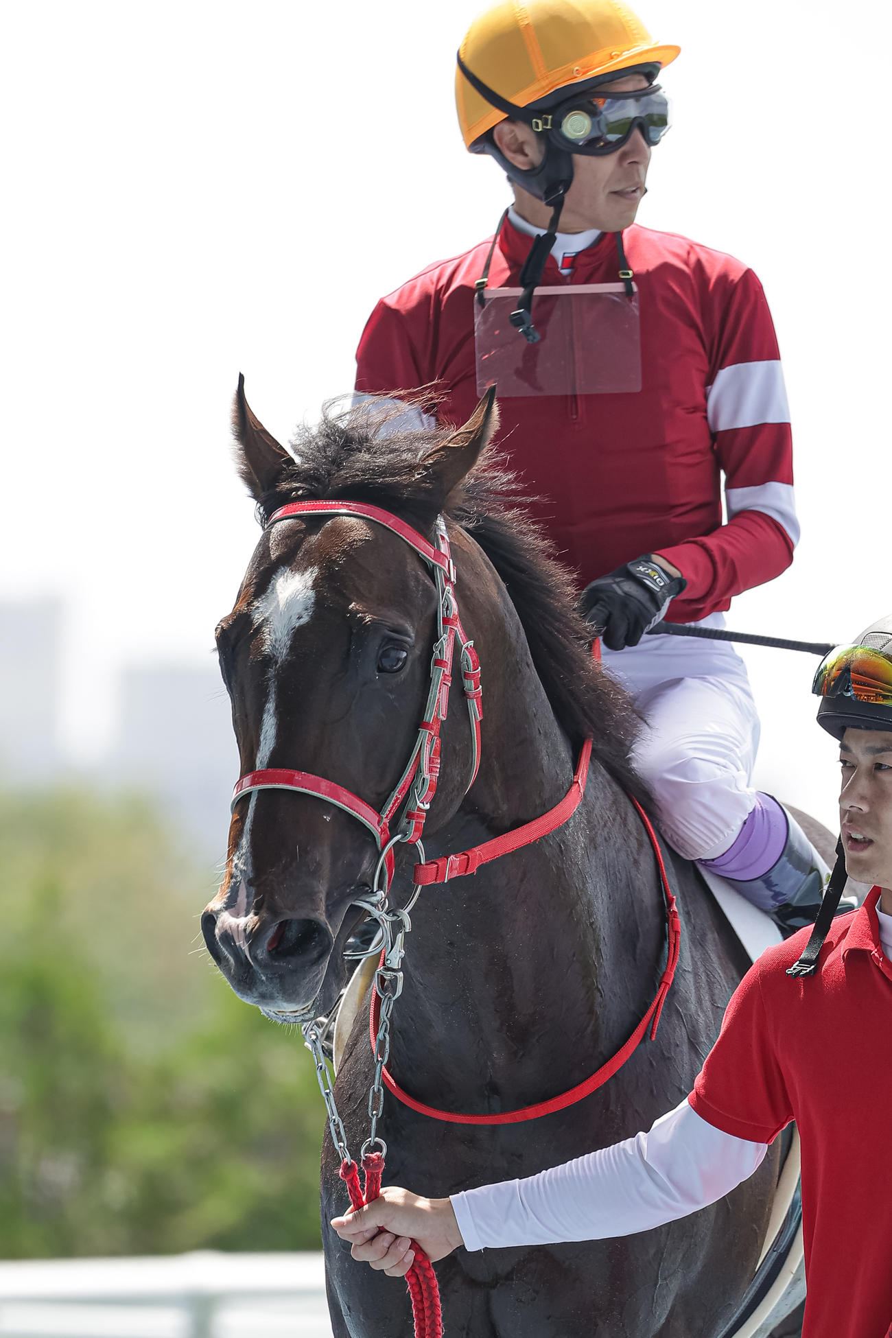 函館1R、2歳未勝利を制したブシンと武豊騎手（撮影・村野早祐）
