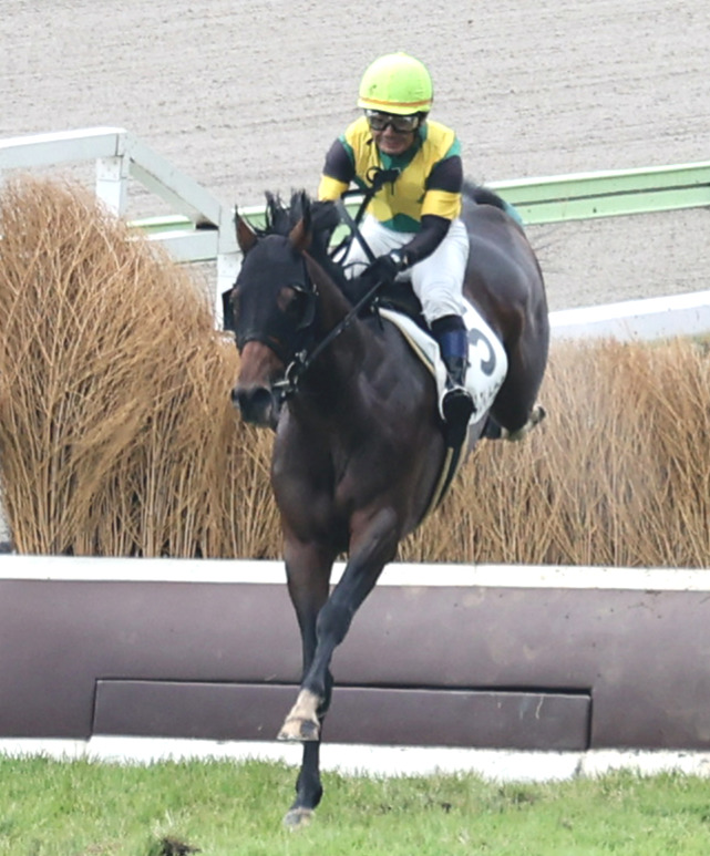 障害未勝利を制したザレストノーウェアと蓑島靖典騎手（撮影・鈴木正人）