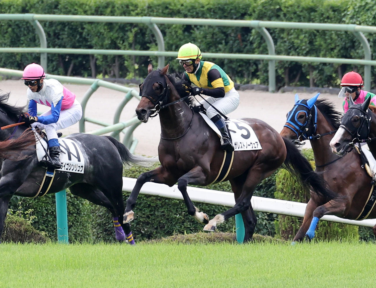 障害未勝利を制したザレストノーウェアと蓑島靖典騎手（撮影・鈴木正人）