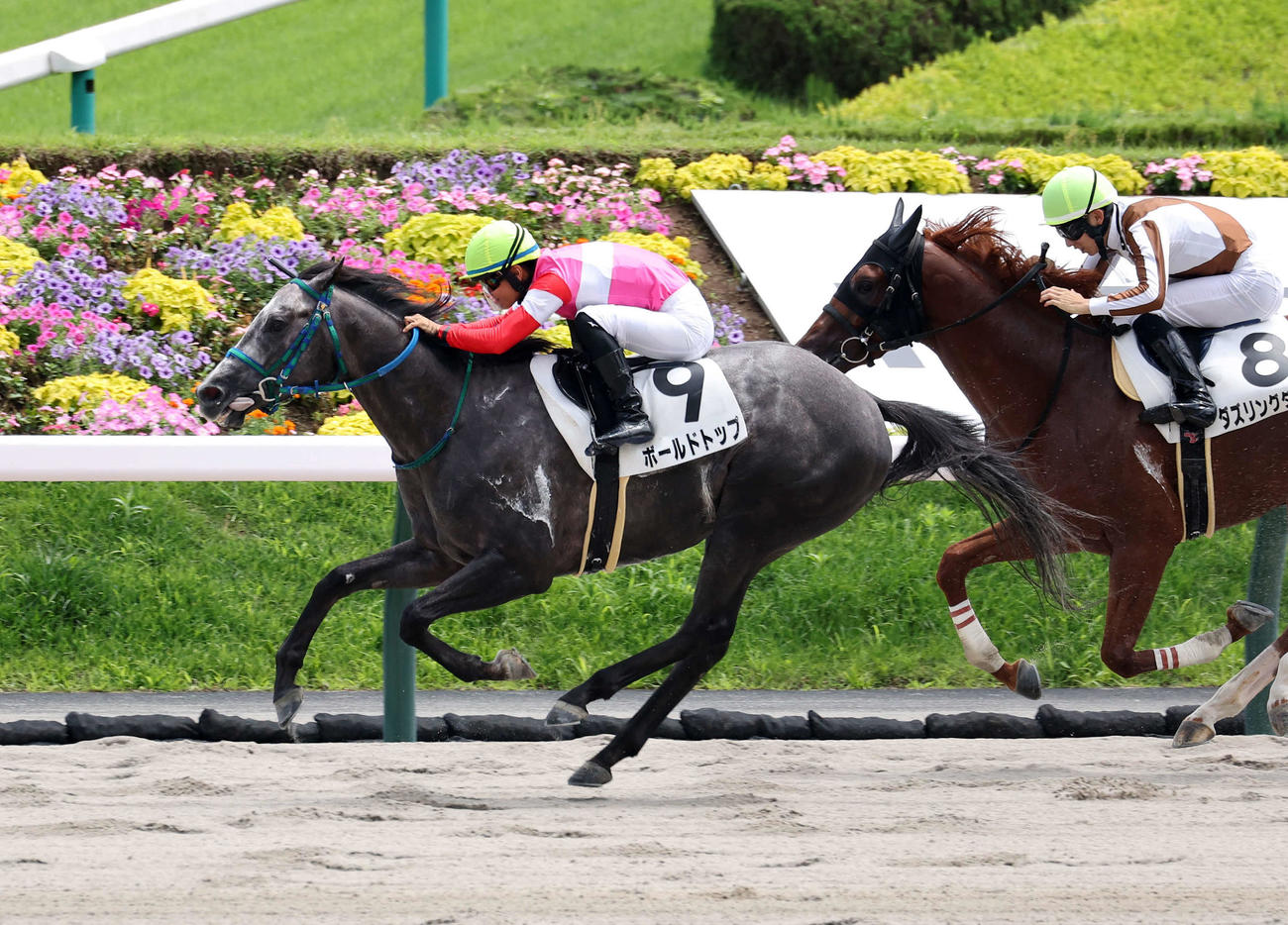 3歳未勝利を制したボールドトップ（左）と原優介騎手（撮影・鈴木正人）