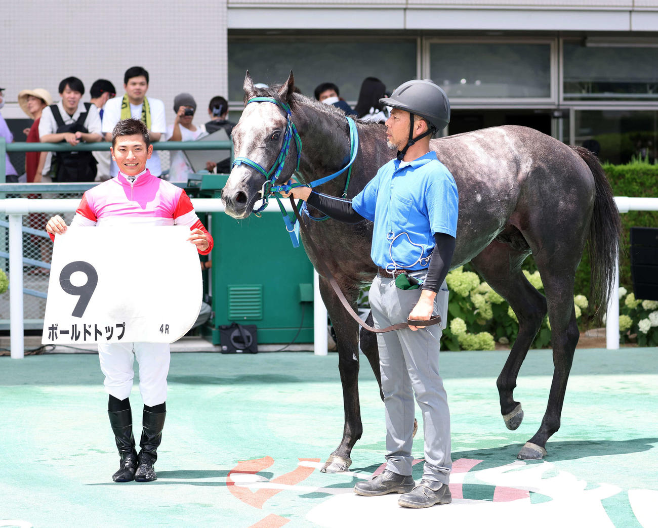 3歳未勝利を制したボールドトップと原優介騎手（撮影・鈴木正人）
