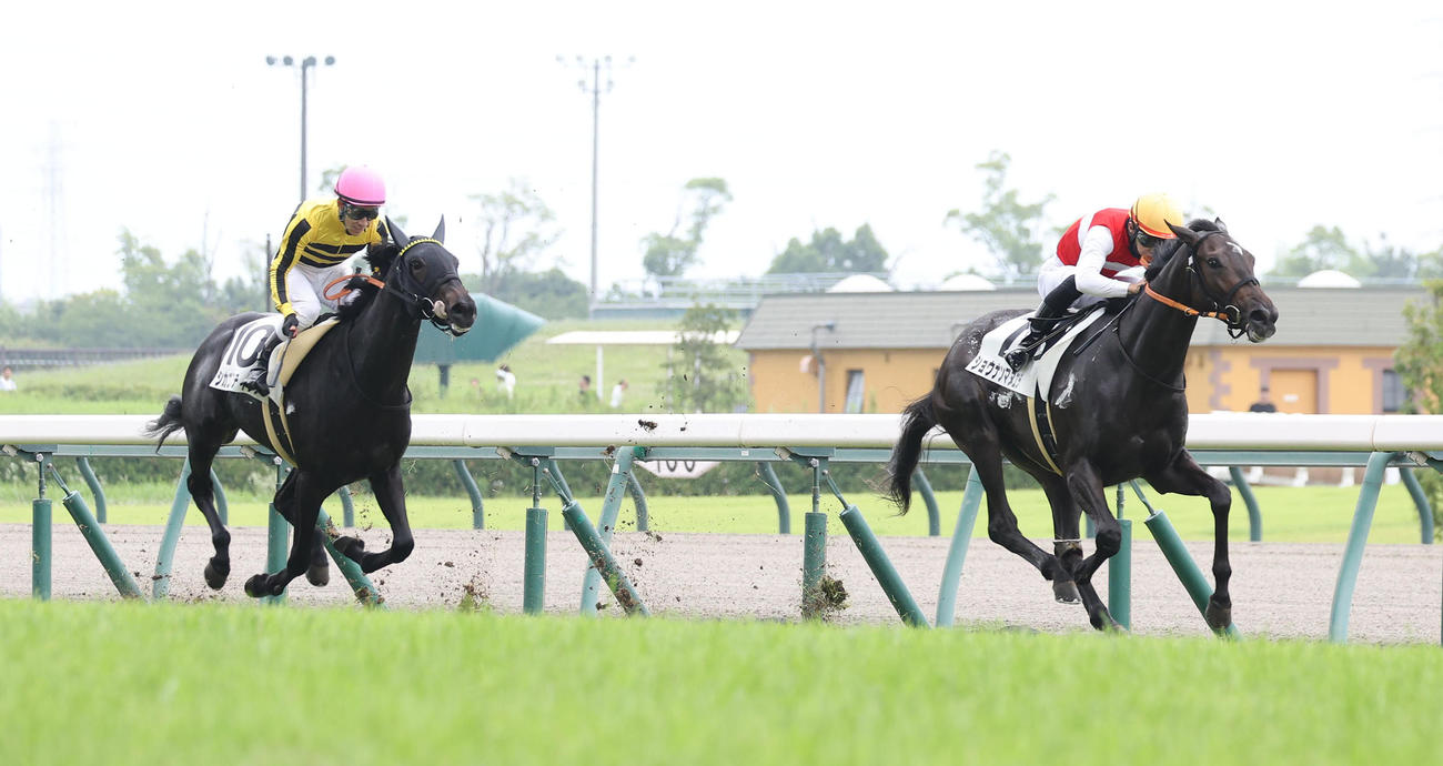 中京6R新馬戦を逃げ切ったたショウナンマヌエラ（右）（撮影・白石智彦）