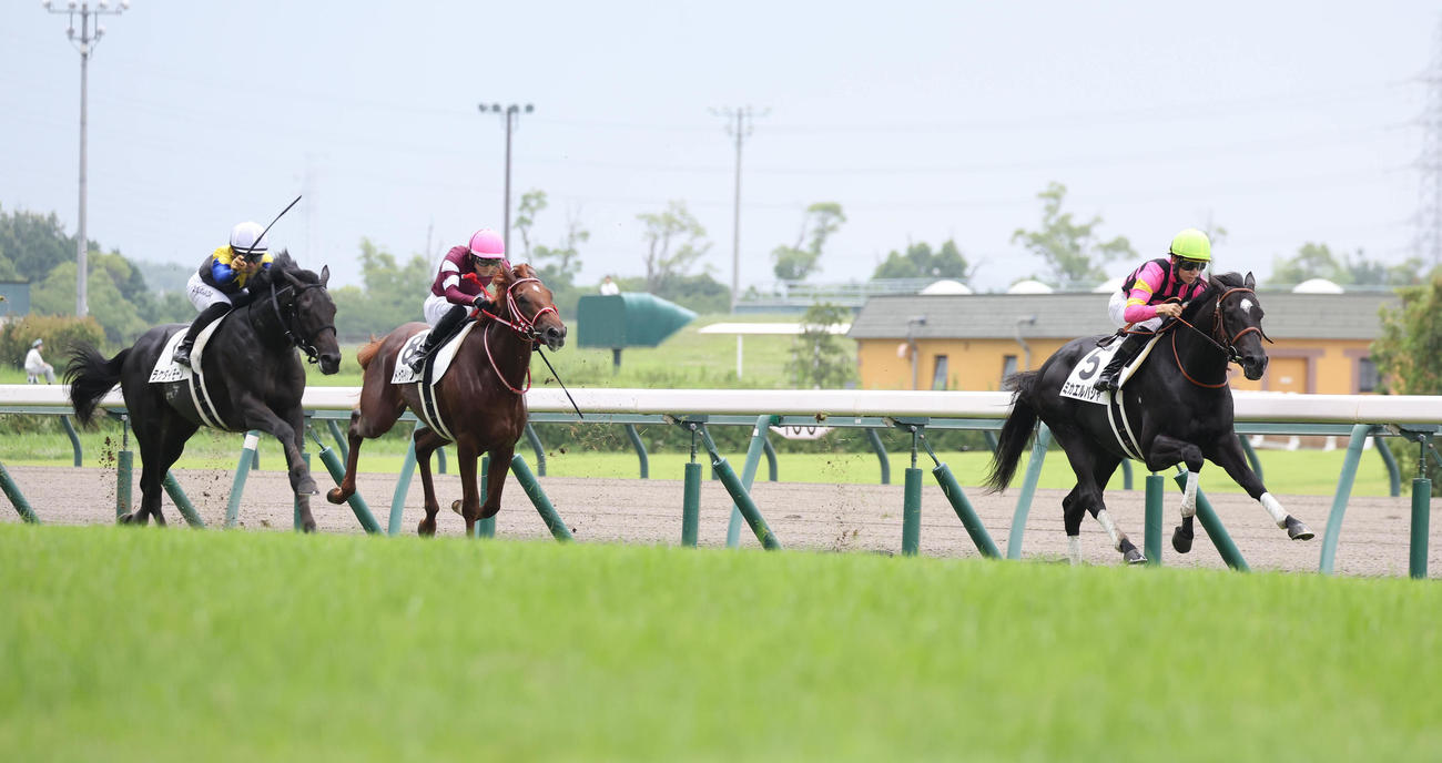 中京5R新馬戦を逃げ切ったミカエルパシャ（右）（撮影・白石智彦）