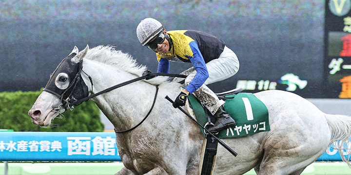 函館記念を制したハヤヤッコ（撮影・村野早祐）＝2022年7月17日、函館競馬場