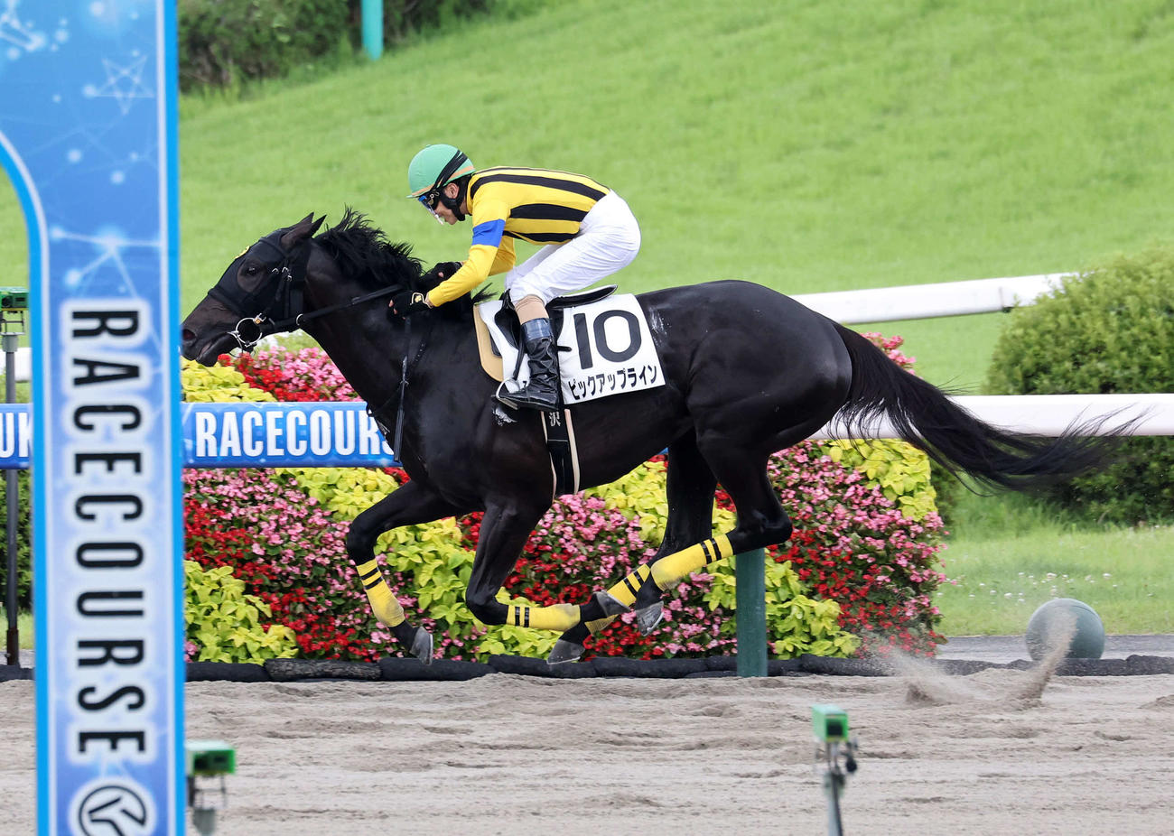 福島7R・3歳未勝利を制したピックアップラインと武士沢友治騎手（撮影・鈴木正人）