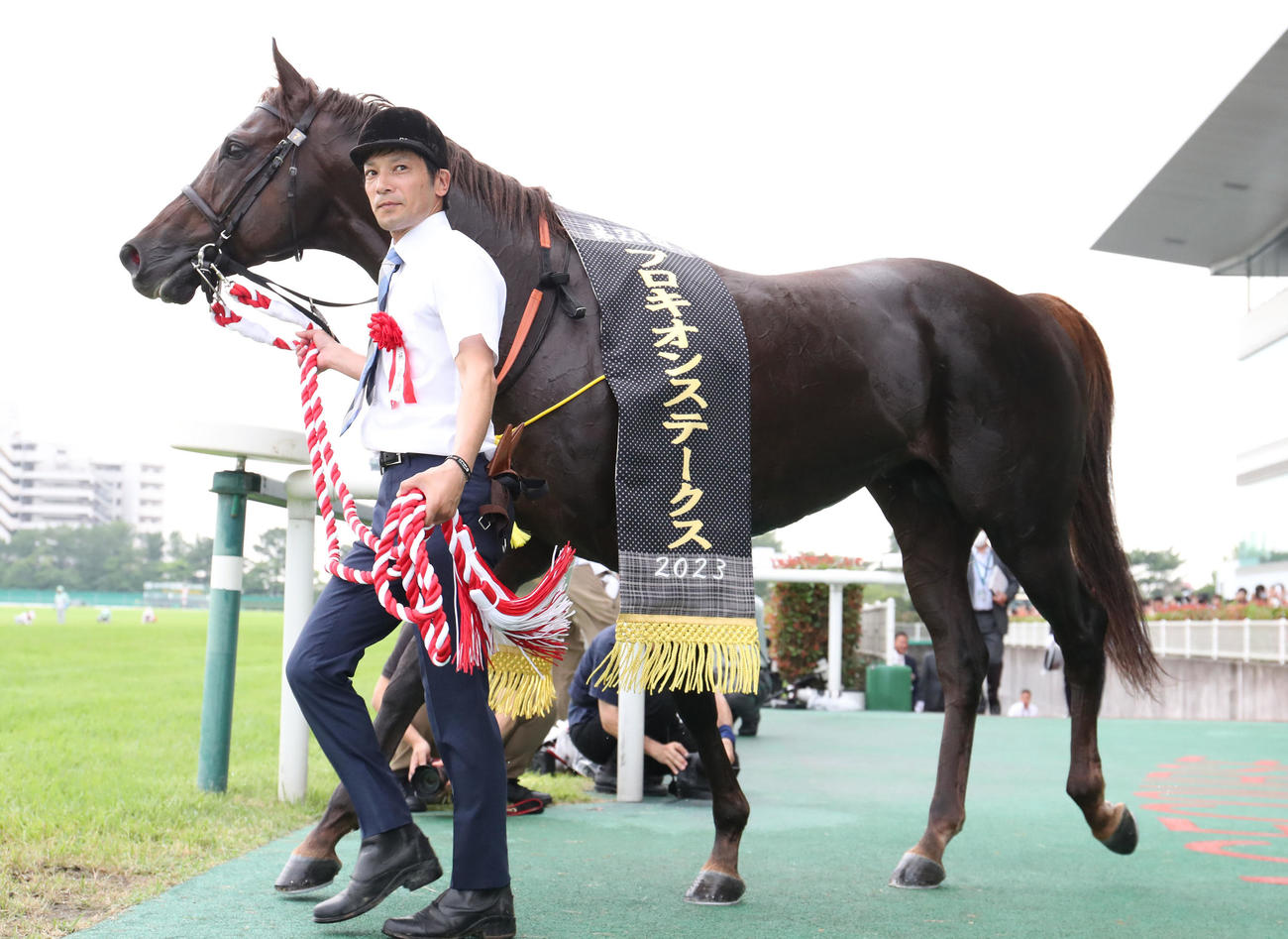 プロキオンSを制したドンフランキー（撮影・白石智彦）