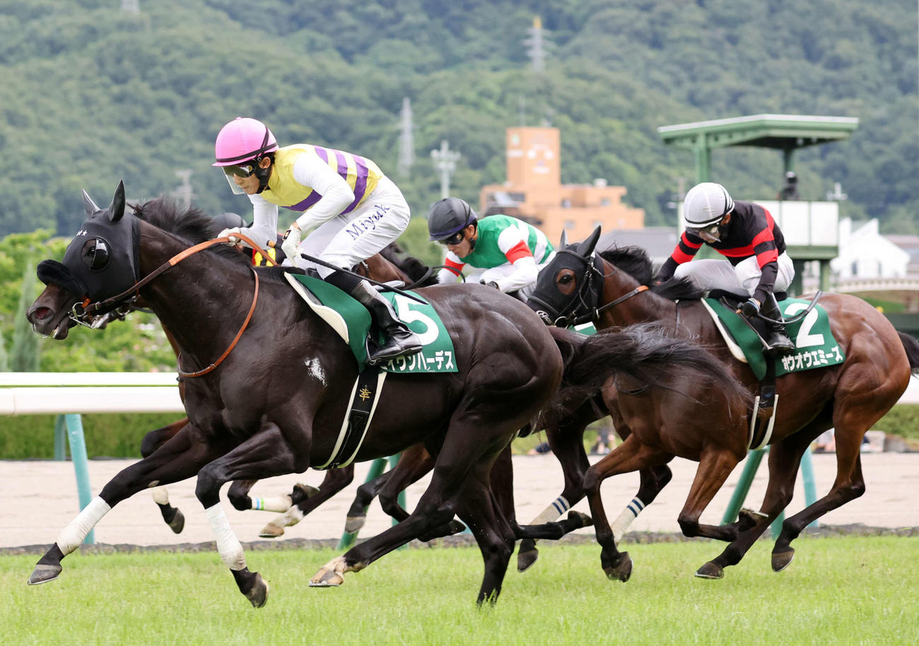 左から勝ったセイウンハーデス、2着ククナ、3着ホウオウエミーズ（撮影・鈴木正人）