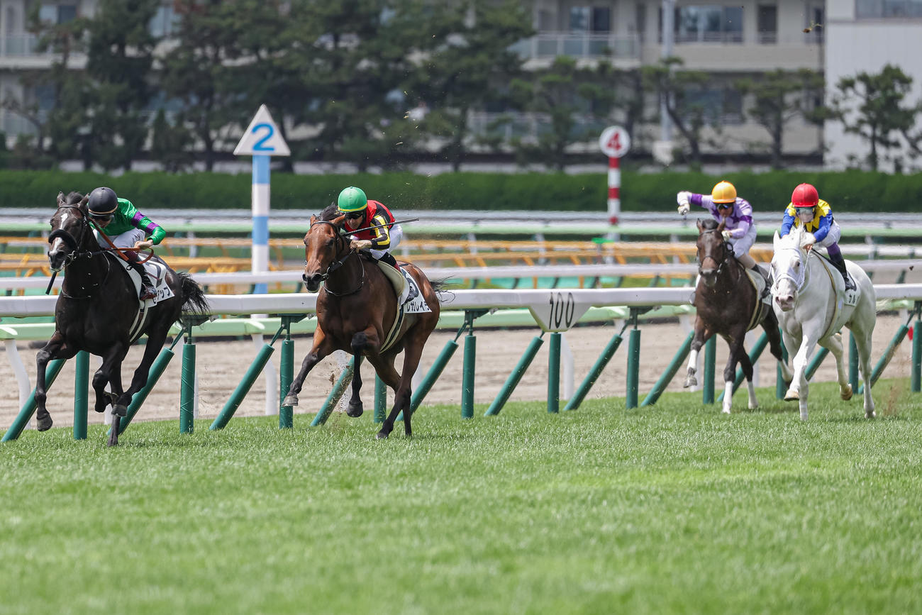 函館5R、デビュー戦で3着に敗れたカルパ（右）（撮影・村野早祐）