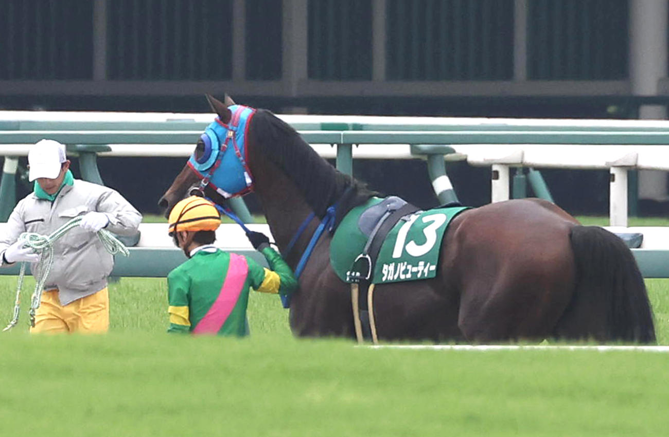 プロキオンS14着入線後に石橋騎手が下馬したタガノビューティー（撮影・白石智彦）